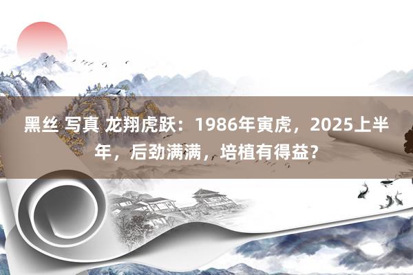 黑丝 写真 龙翔虎跃：1986年寅虎，2025上半年，后劲满满，培植有得益？