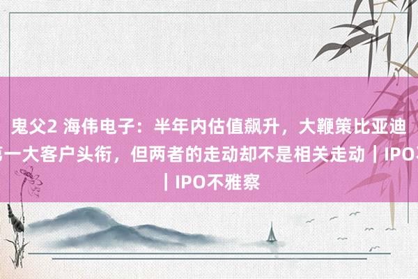 鬼父2 海伟电子：半年内估值飙升，大鞭策比亚迪身肩第一大客户头衔，但两者的走动却不是相关走动｜IPO不雅察