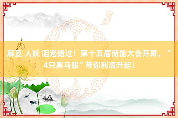 麻豆 人妖 阻遏错过！第十五届储能大会开幕，“4只黑马股”带你利润升起！