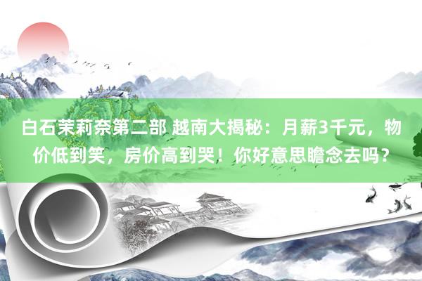 白石茉莉奈第二部 越南大揭秘：月薪3千元，物价低到笑，房价高到哭！你好意思瞻念去吗？