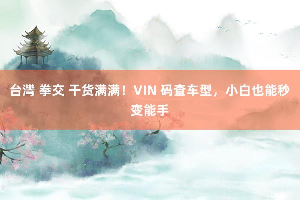 台灣 拳交 干货满满！VIN 码查车型，小白也能秒变能手