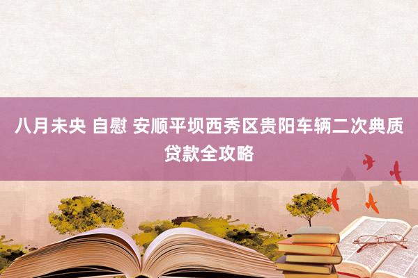八月未央 自慰 安顺平坝西秀区贵阳车辆二次典质贷款全攻略