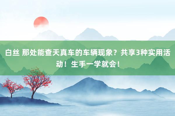 白丝 那处能查天真车的车辆现象？共享3种实用活动！生手一学就会！