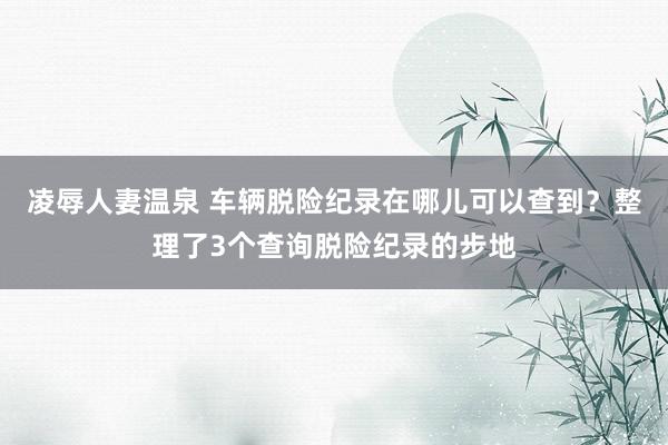 凌辱人妻温泉 车辆脱险纪录在哪儿可以查到？整理了3个查询脱险纪录的步地