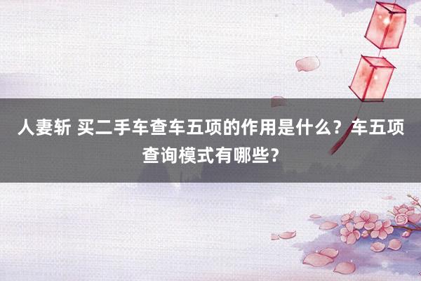 人妻斩 买二手车查车五项的作用是什么？车五项查询模式有哪些？