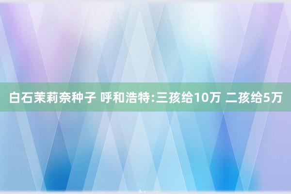 白石茉莉奈种子 呼和浩特:三孩给10万 二孩给5万