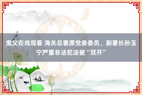 鬼父在线观看 海关总署原党委委员、副署长孙玉宁严重非法犯法被“双开”