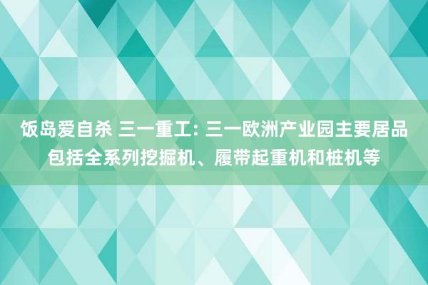 饭岛爱自杀 三一重工: 三一欧洲产业园主要居品包括全系列挖掘机、履带起重机和桩机等