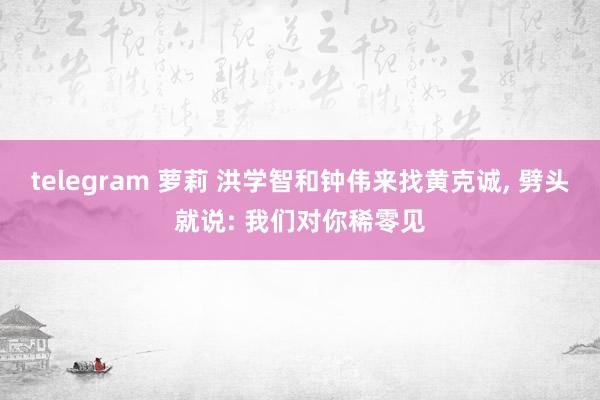 telegram 萝莉 洪学智和钟伟来找黄克诚, 劈头就说: 我们对你稀零见
