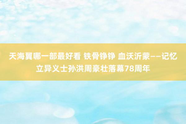 天海翼哪一部最好看 铁骨铮铮 血沃沂蒙——记忆立异义士孙洪周豪壮落幕78周年