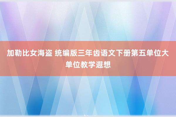 加勒比女海盗 统编版三年齿语文下册第五单位大单位教学遐想