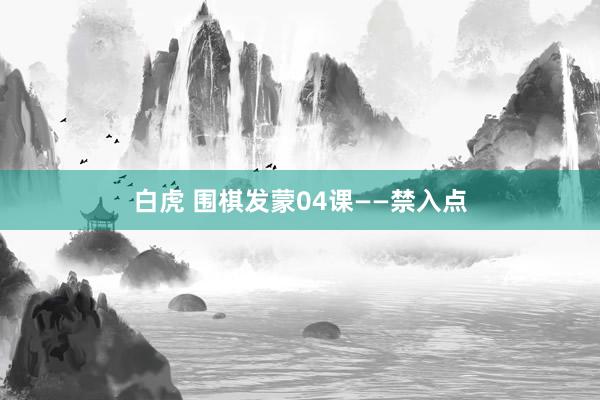 白虎 围棋发蒙04课——禁入点