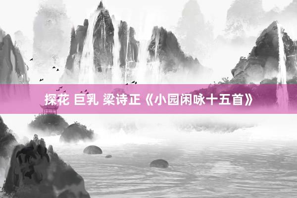探花 巨乳 梁诗正《小园闲咏十五首》