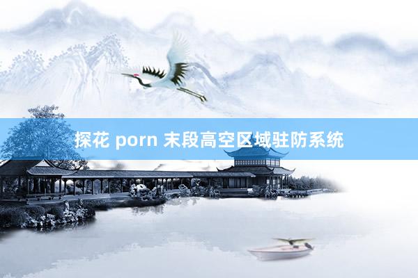 探花 porn 末段高空区域驻防系统