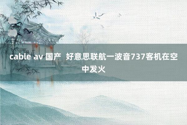 cable av 国产  好意思联航一波音737客机在空中发火