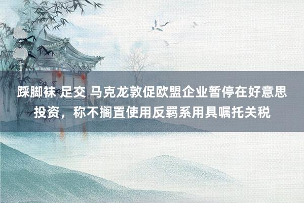踩脚袜 足交 马克龙敦促欧盟企业暂停在好意思投资，称不搁置使用反羁系用具嘱托关税