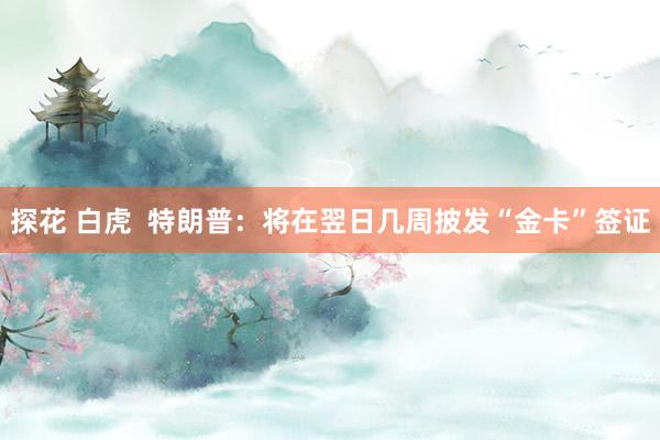探花 白虎  特朗普：将在翌日几周披发“金卡”签证