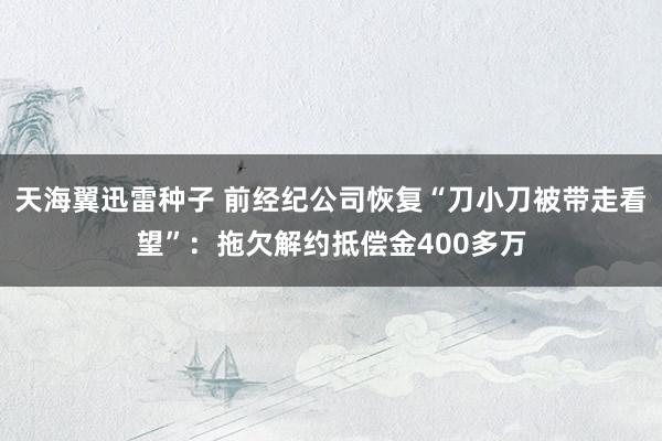 天海翼迅雷种子 前经纪公司恢复“刀小刀被带走看望”：拖欠解约抵偿金400多万